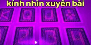 Kính nhìn xuyên bài